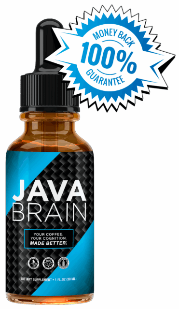 Java Brain